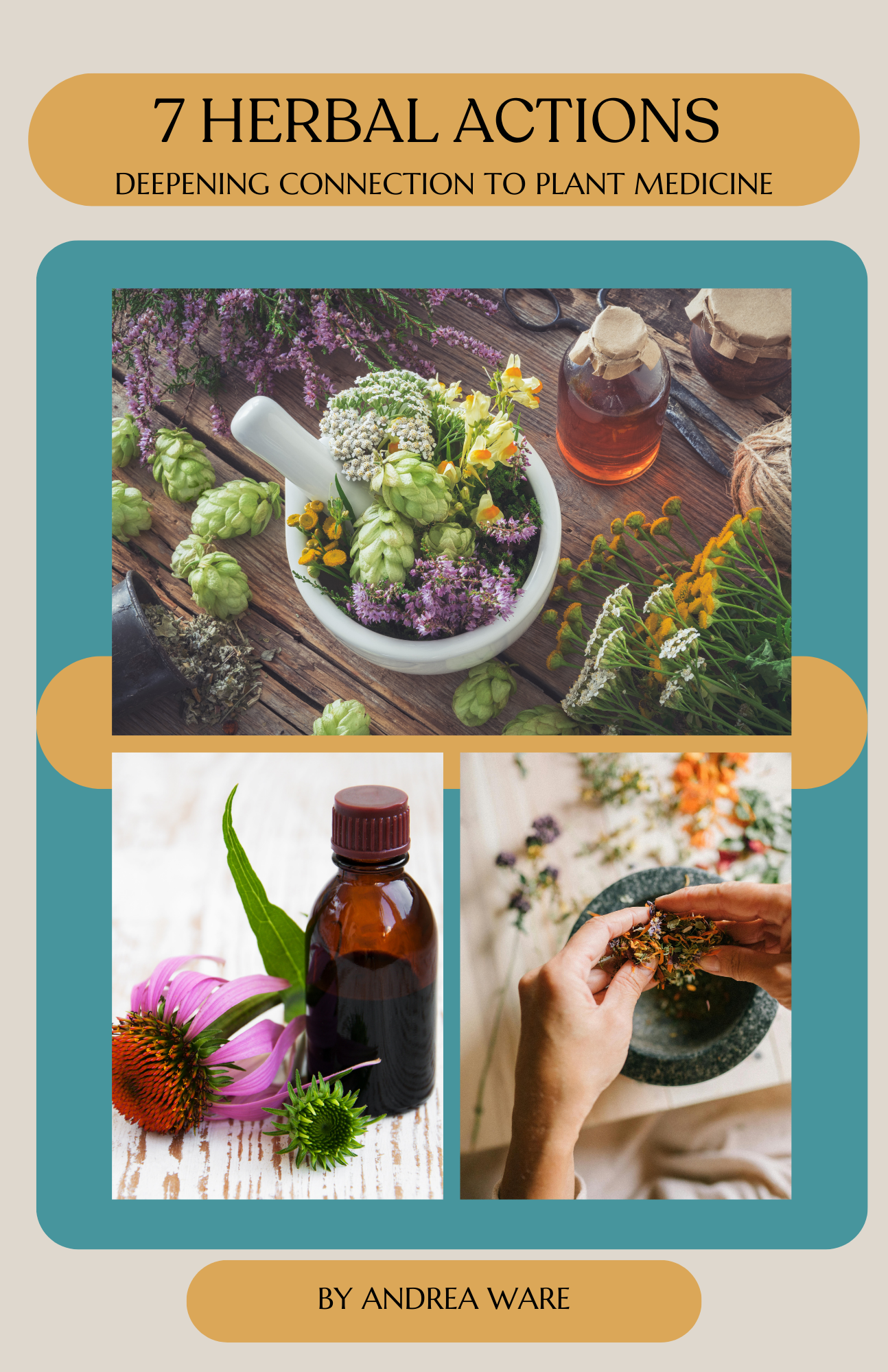 7 Herbal Actions: Deepening Connection To Plant Medicine
